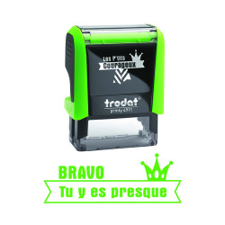 BRAVO TU Y ES PRESQUE - 4911